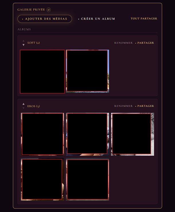 Galerie privée d'un profil : albums Soft et Eros, actions Partager et Tout partager